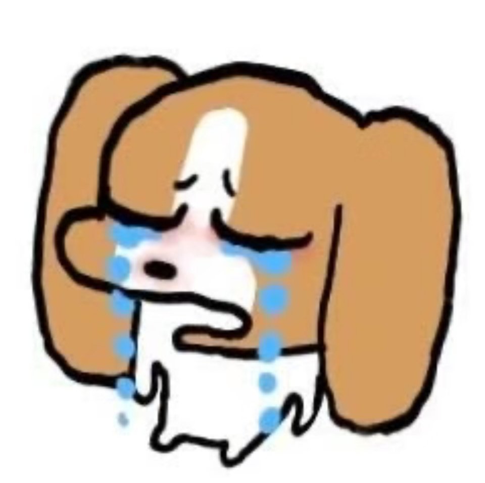 金在伍你怎么这么好哇🥺🥺 