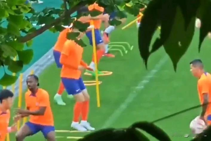 山东泰山主场对阵浙江，赛前传来好消息！
  从爆出的泰山队训练视频可以看出，贾德