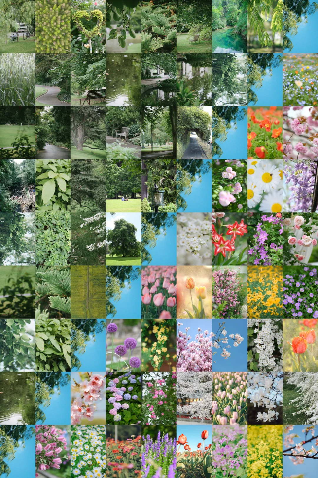 交换春天|生命就是一万次的春和景明