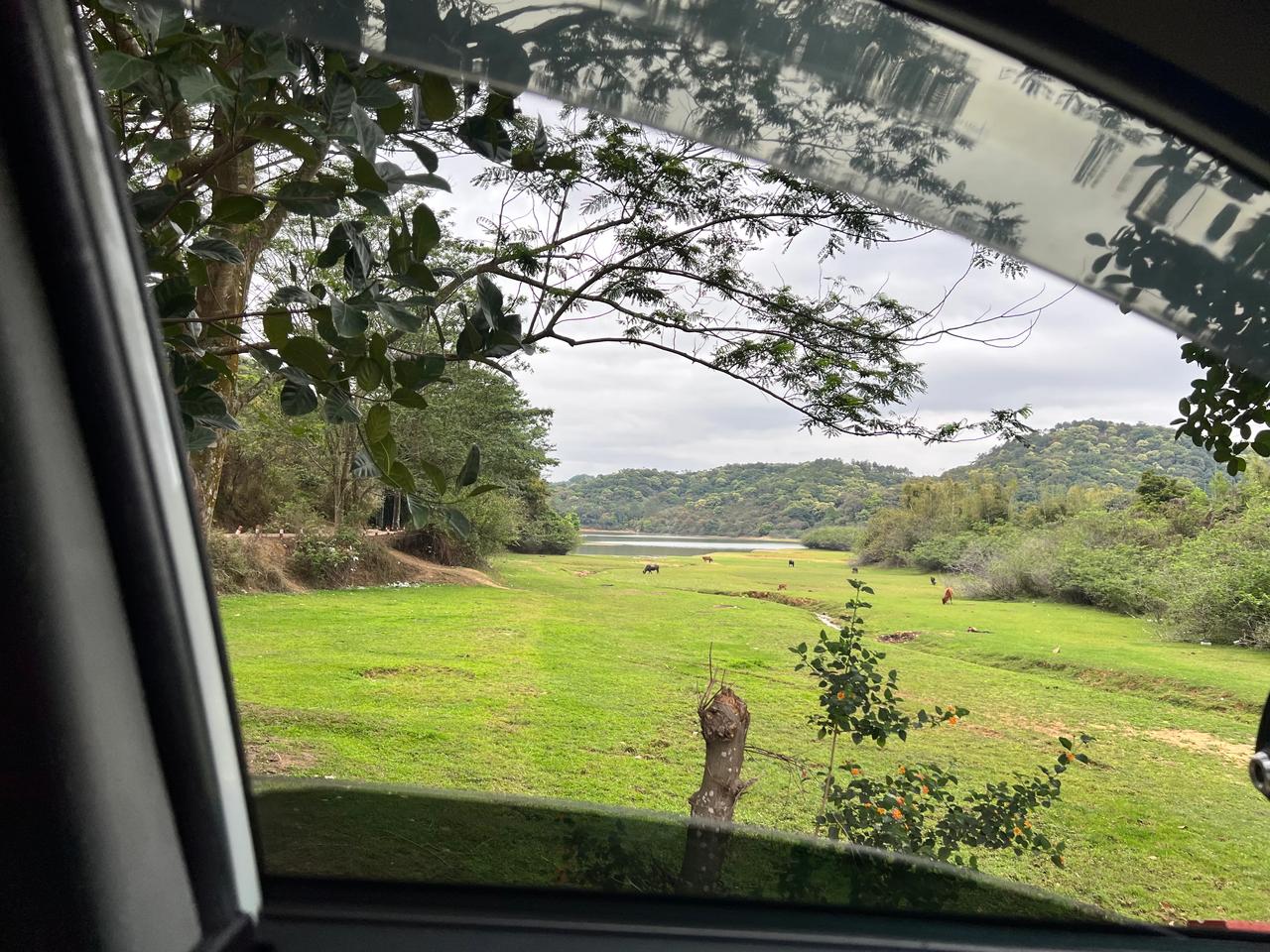 现在这个季节天气露营刚刚好，又不热，又不冷。
这段时间经常去一些地方寻找好的草坪