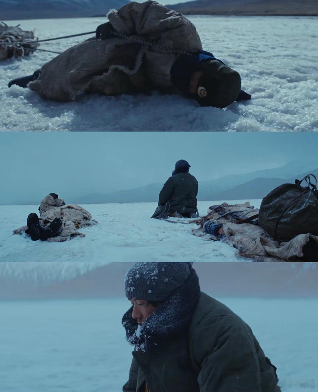 杨紫胡歌新剧重生之末世求生 追《生命树》真的被白菊和多杰狠狠治愈🌿✨，一个顽强