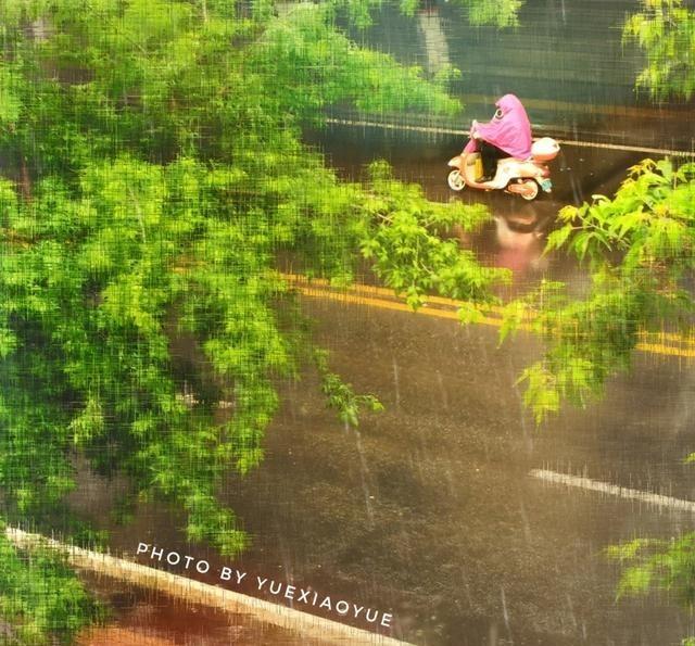 手机这么拍雨天，有意境又独特｜教你3招拍美“窗外雨景”，普通街道也能拍出故事感