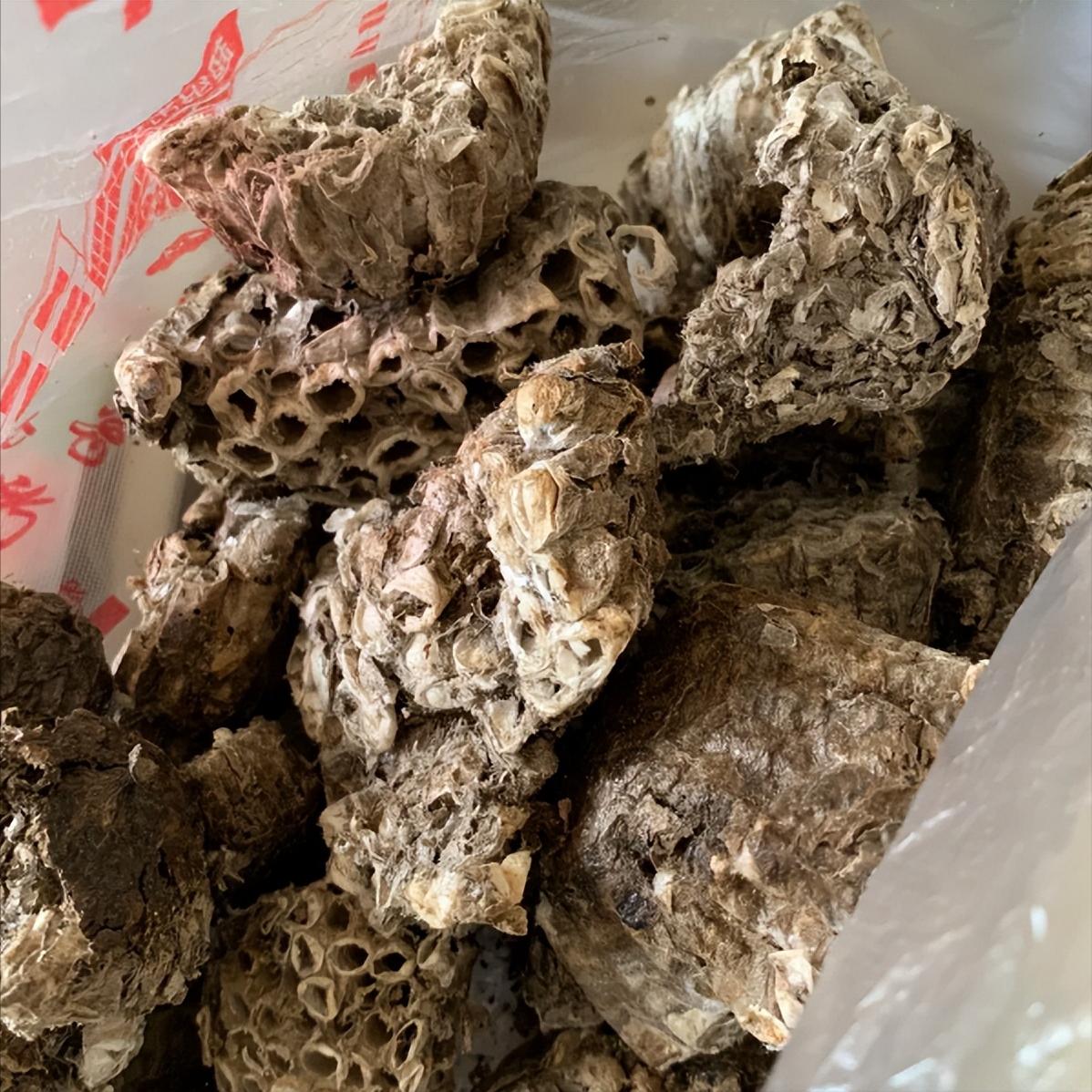 中药界的“起阳草”！兴阳能力一流，痿软、早泄、精冷皆可振

被男科问题缠上太糟心