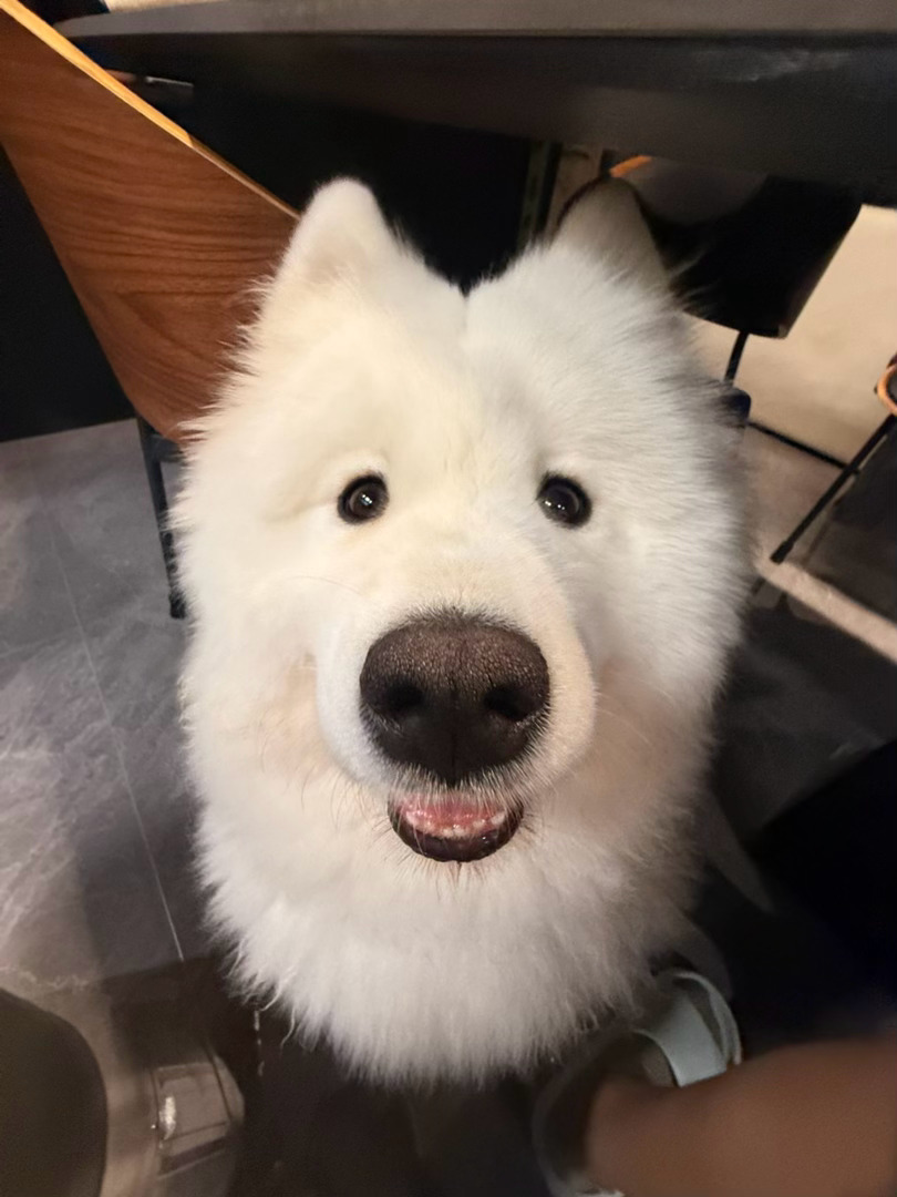 嗅嗅嗅嗅嗅嗅嗅嗅 