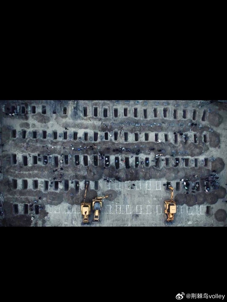 国际排联（FIVB）发表关于在以色列袭击中遇难的伊朗排球运动员的声明：