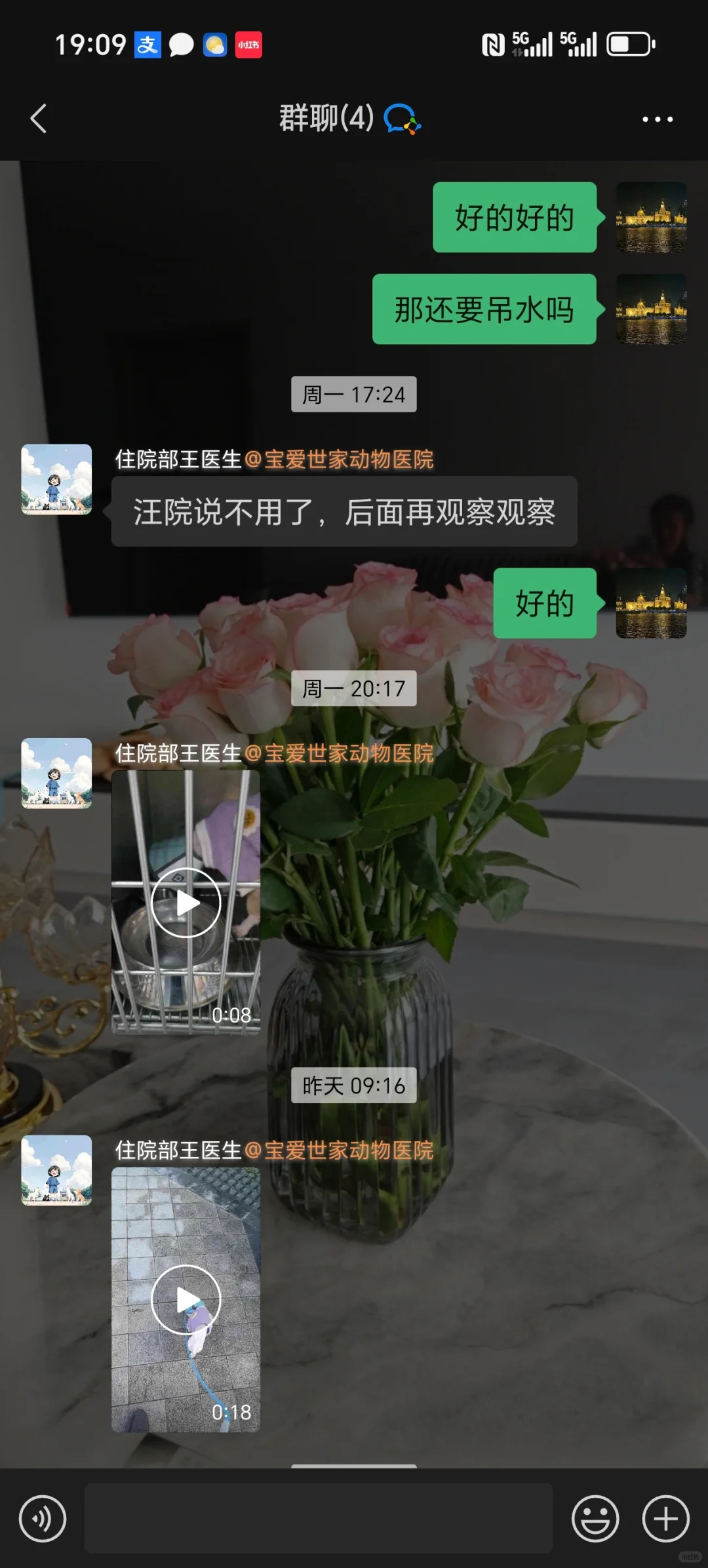 中毒小狗的后续