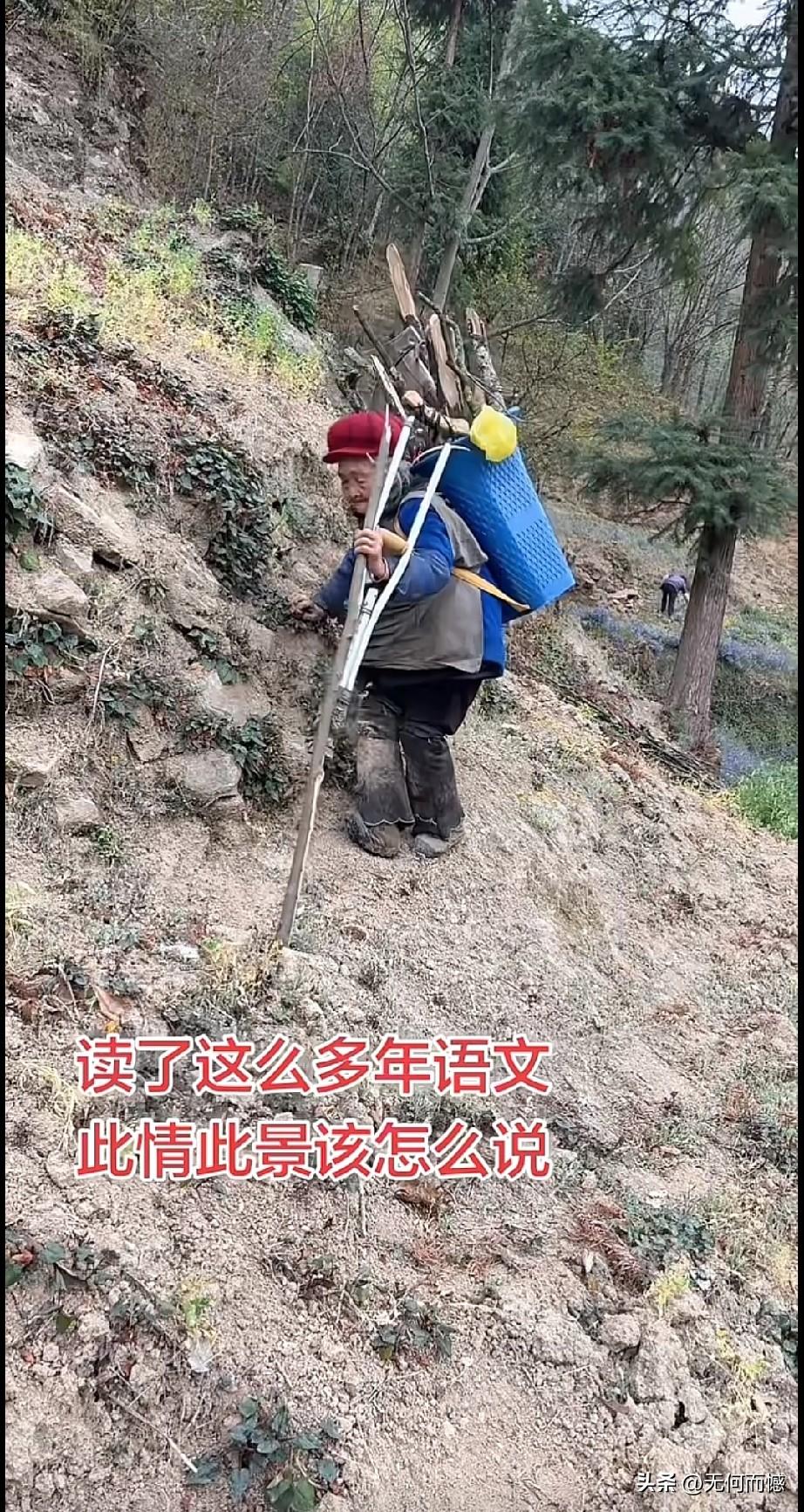看着这位老人拄着拐、背着柴，一步一挪地爬着土坡，心里真不是滋味。那根磨得发亮的拐