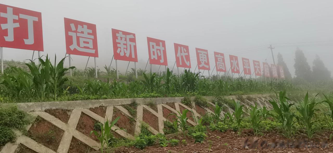 他稍事回忆，如数家珍地说：“从1930年开始算起， 60 万人口的成都，至少有二