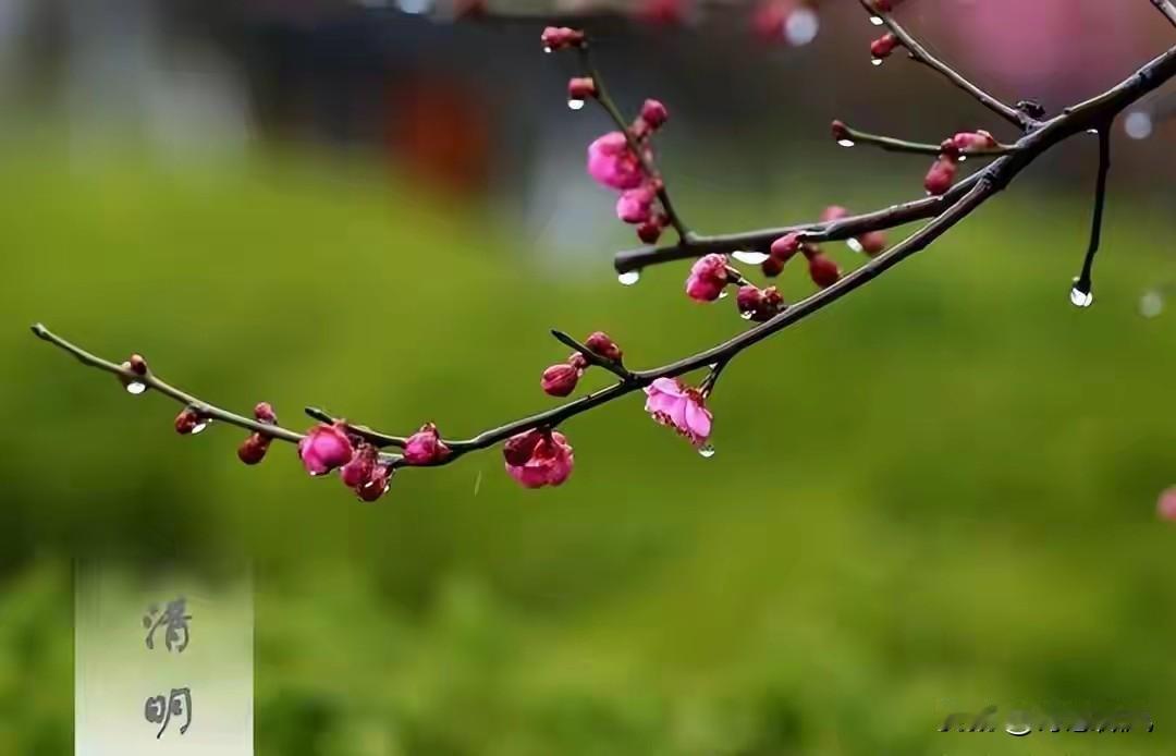 一个残忍预感：将来50后60后不在了，恐怕坟头没有人清明节烧纸了。
 
这种预感