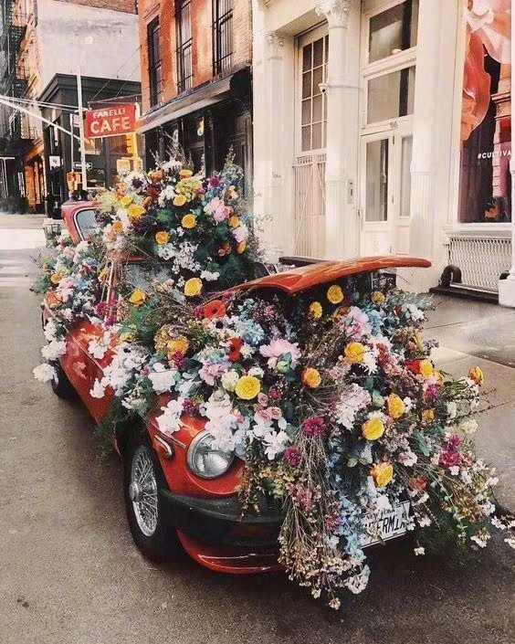 我不觉得心智成熟是越来越宽容，什么都可以接受。相反，我觉得那应该是一个逐渐剔除的