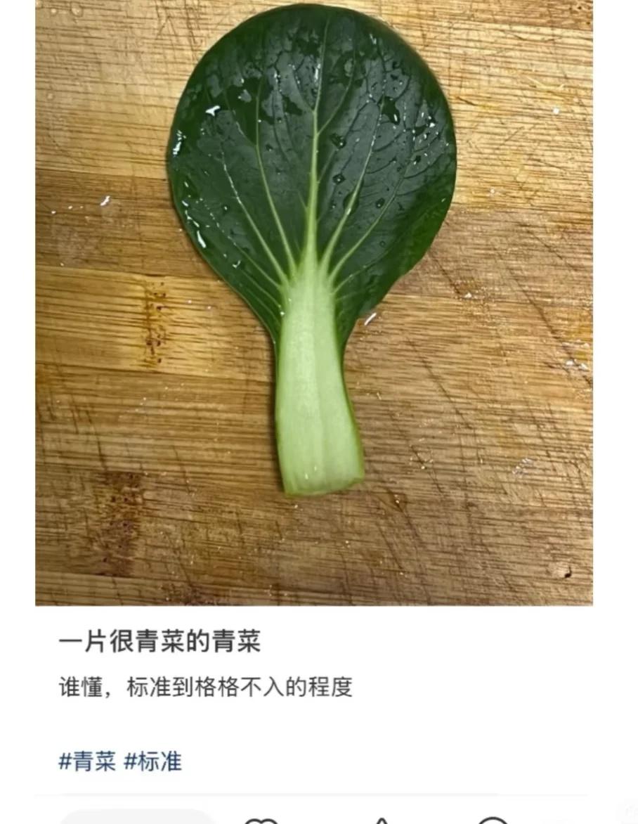 ❌🌈谁能告诉我这是什么梗呀，这么多赞
大数据懂我 有点离谱但合理呀 莫名其妙击