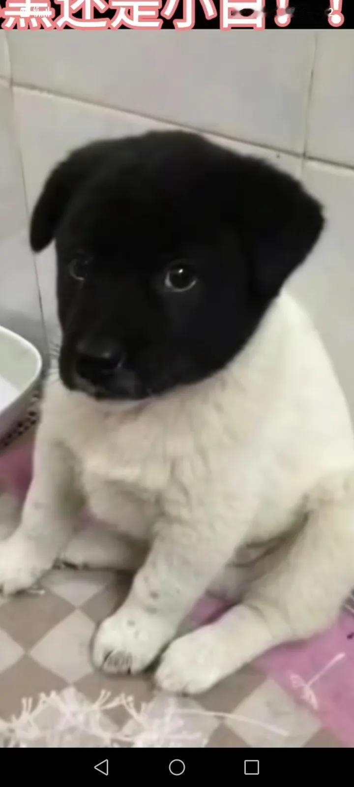 秋日生活打卡季漂亮不？？？？哈哈😄