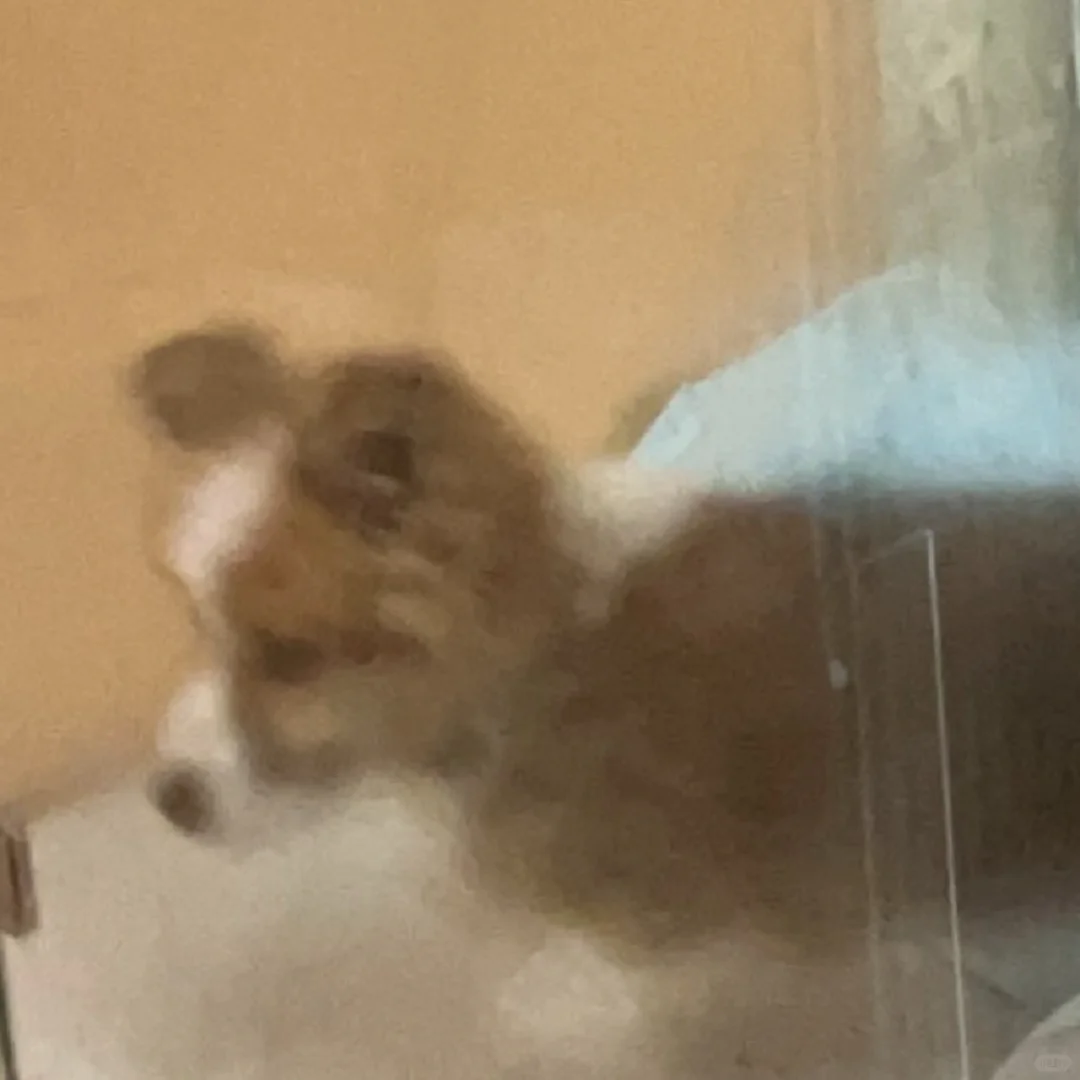 有人一起玩真好啊