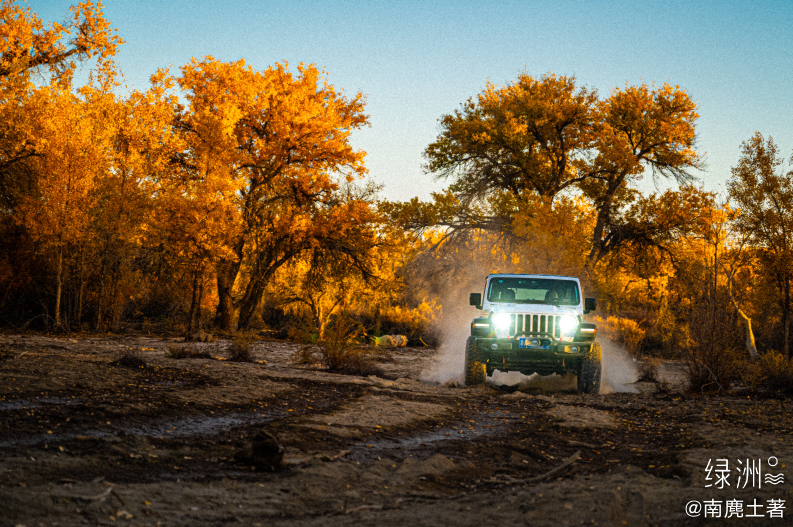 走，越野去 新疆｜巴州#大美新疆#  