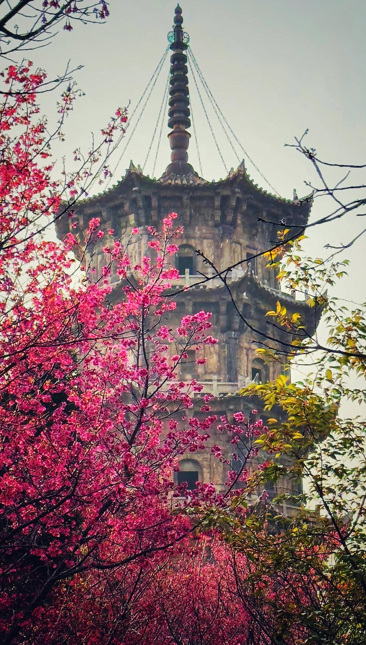 遇见错的人，如慢性消耗，磨损心志；遇见对的人，似灵药一剂，治愈灵魂。最好的自律，