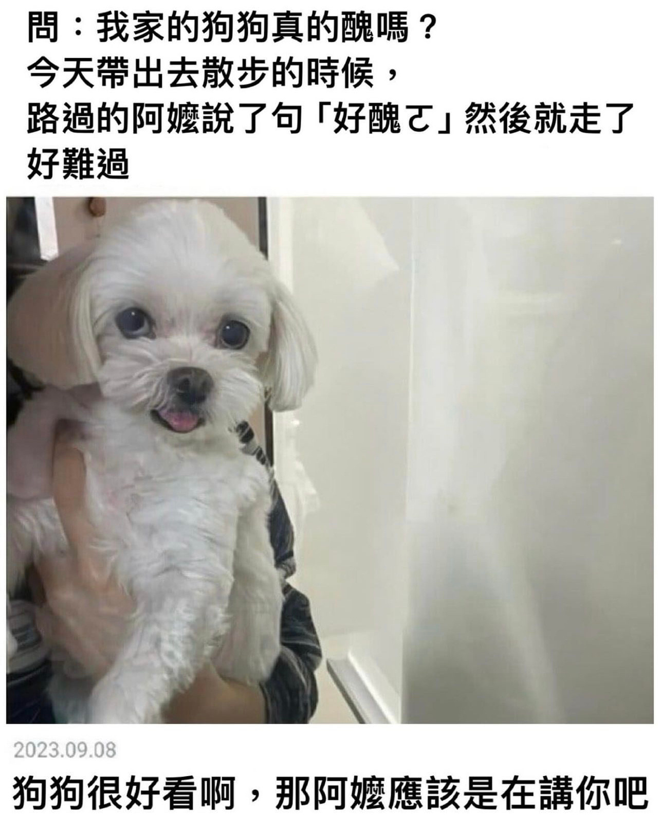 抱歉#今日memes# //#春日cityhappy计划# ​​​