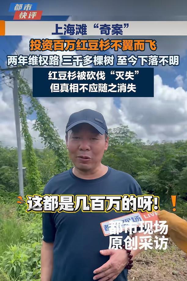 2026‑08‑29，据都市现场、智慧生活报报道，上海浦东新区惠南镇四墩村一名种