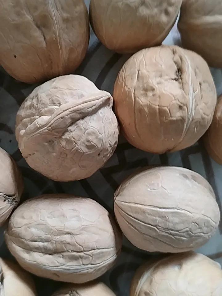 真心话茶局老公做豆浆，每天放两个核桃仁，每次核桃吃的很快，这次却很慢，说心里话，