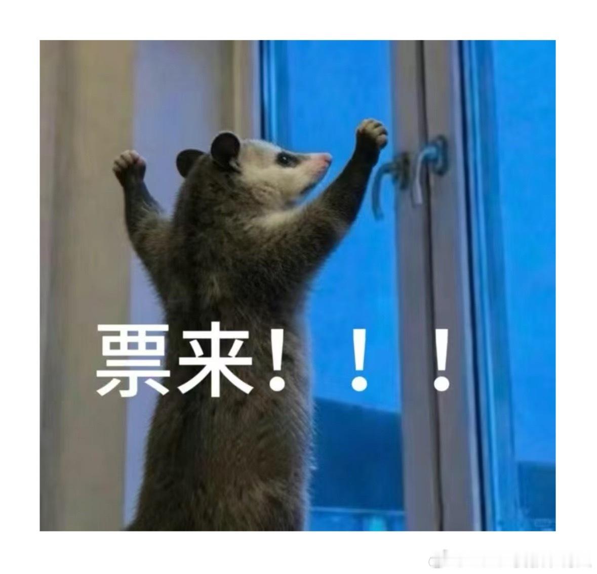 蔡徐坤马来西亚音乐节压轴 ⬇️ 