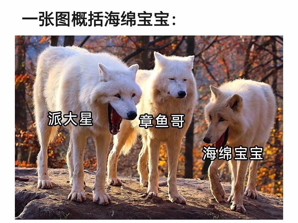 两个显眼包，一个我，完美复刻海绵宝宝日常meme