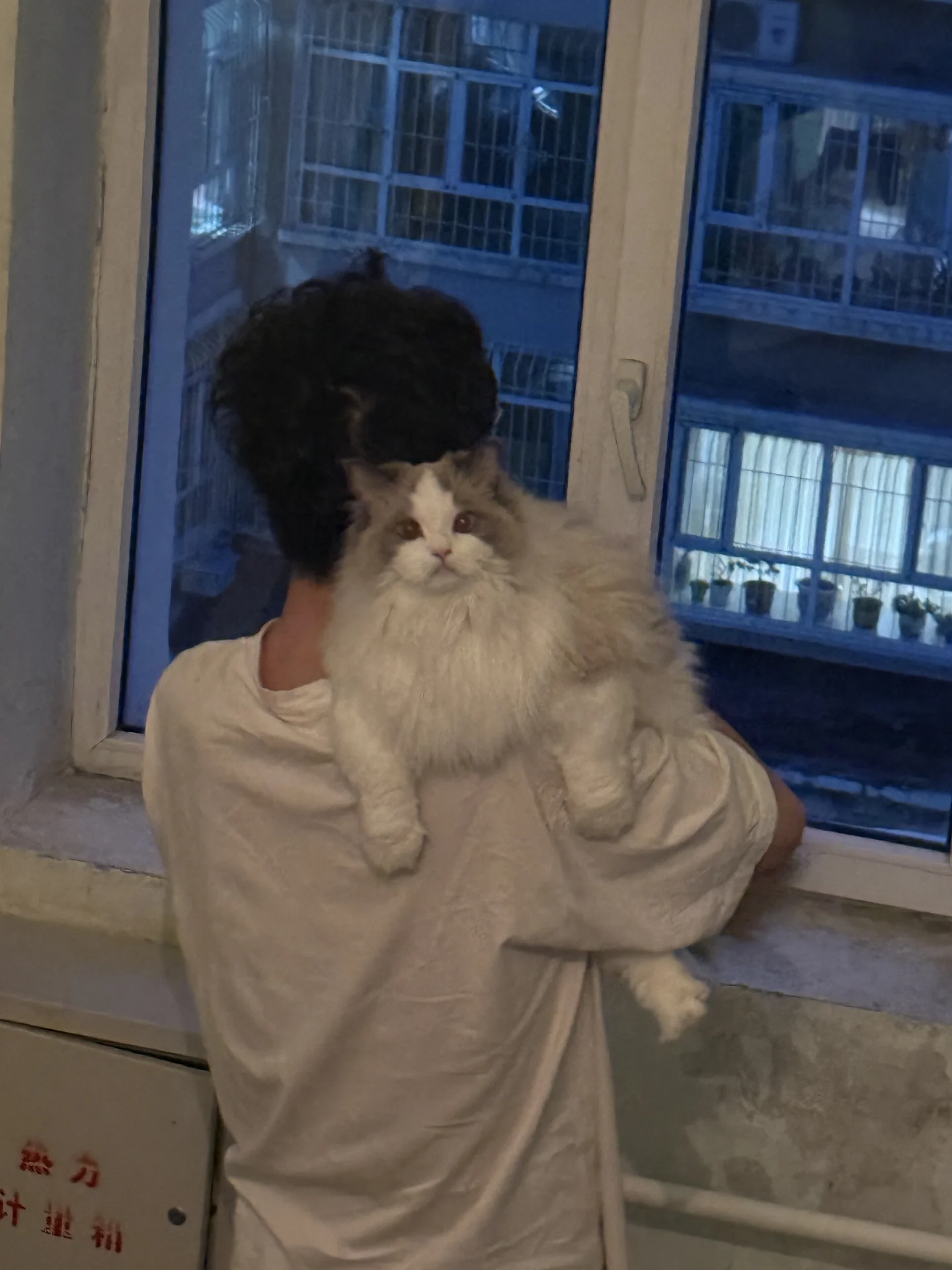 好乖的宝宝啊