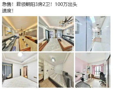 急急急！君领朝阳