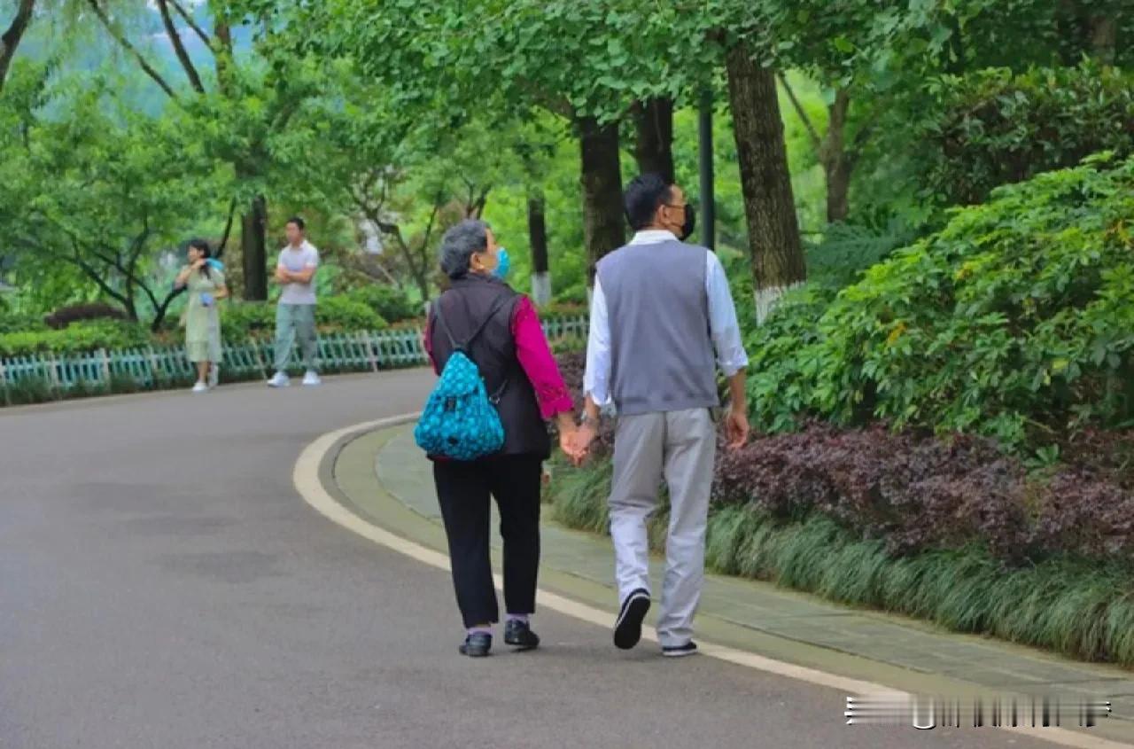 租客和房东在一起搭伙过日子，这种情况我还是第一次看到。

小区里有老两口，他们天