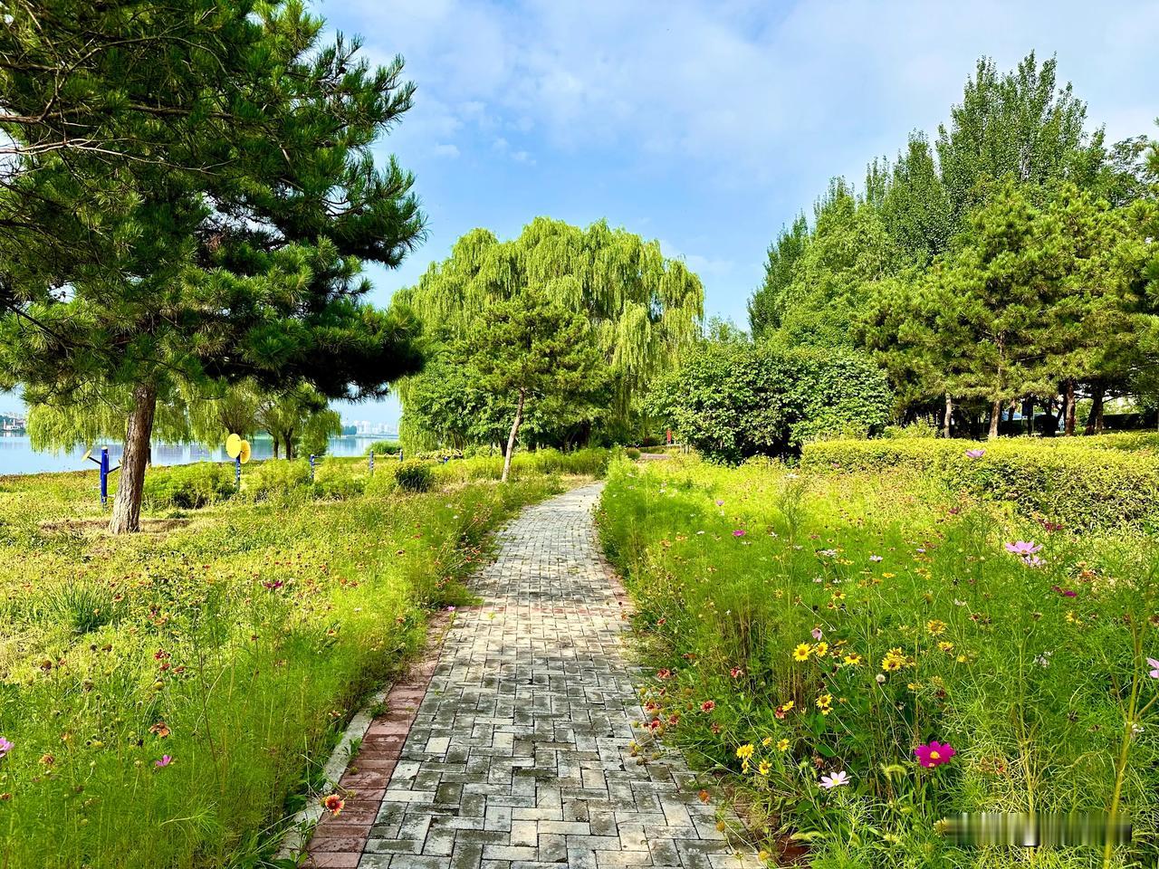 #夏日生活打卡季##夏日好景分享# #打卡夏天景色# #美景随拍＃# #寻找夏日