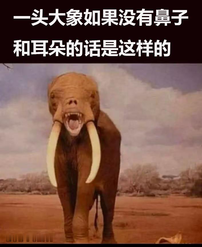 不客气 