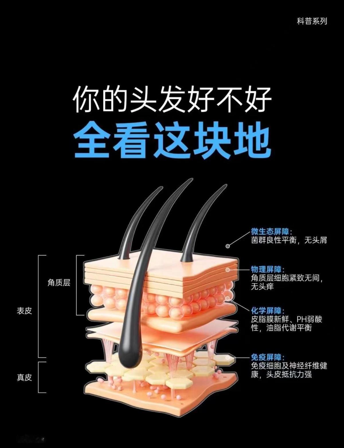 洗头掉一撮，照镜子心都凉了。
用了半瓶，现在一梳就几根，真不骗人。
不是神药，是