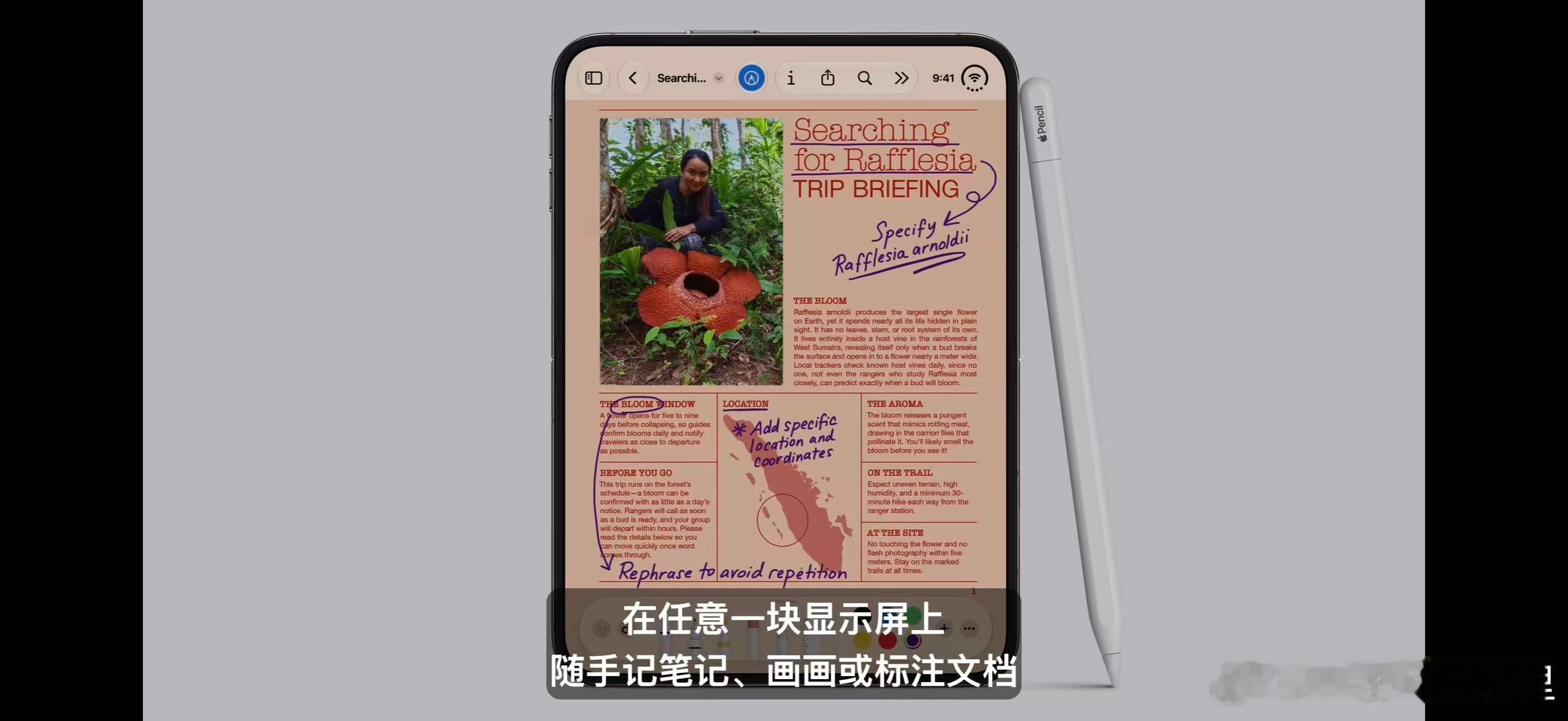 iPhone Duo 有两款颜色，白色和蓝色。内屏 7.6 ″ ，外屏 5.4 