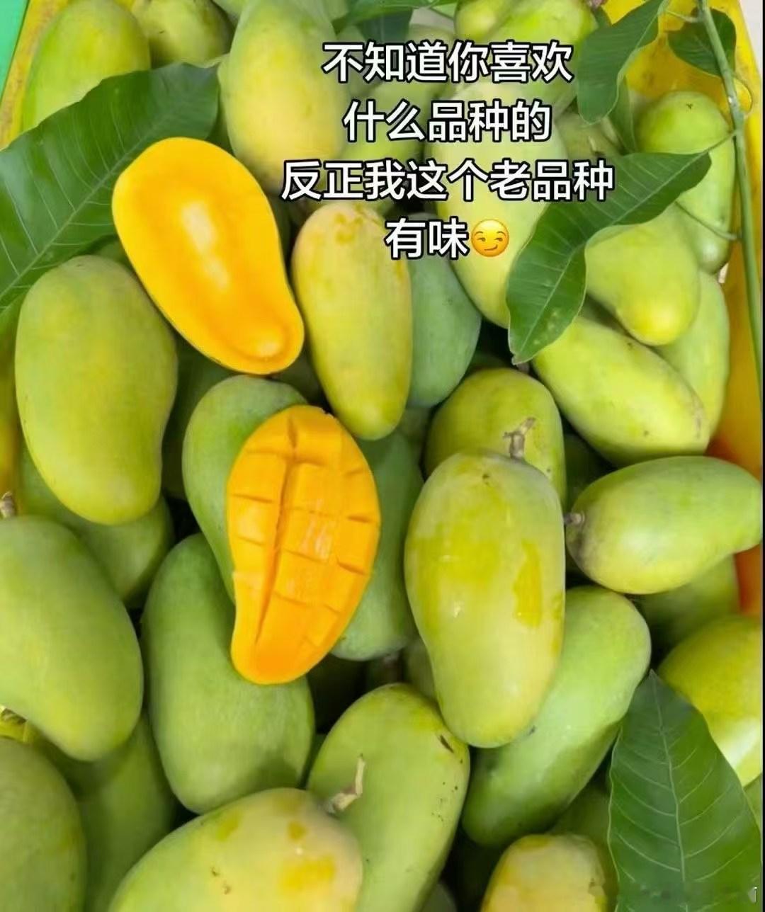 有奶香味的老品种芒果🥭 