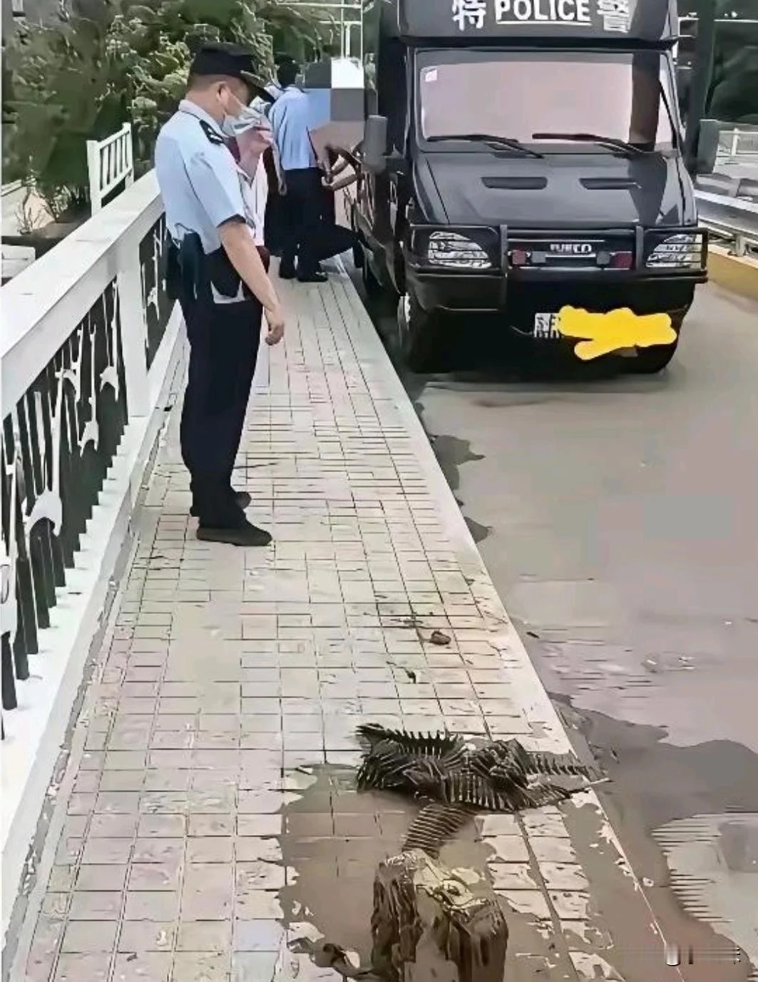 钓鱼佬除了钓不到鱼，什么都钓得到 