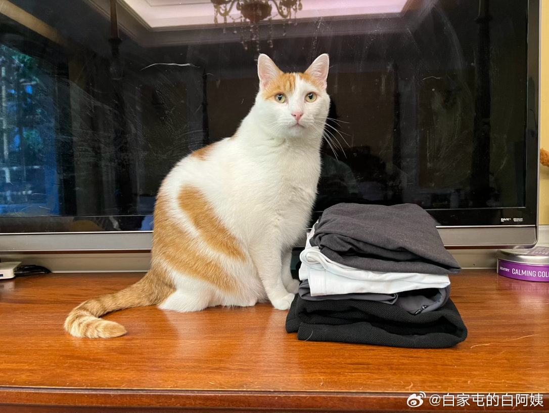 我就说衣服是猴猴叠的吧，这还能有谁不信！ ​​​