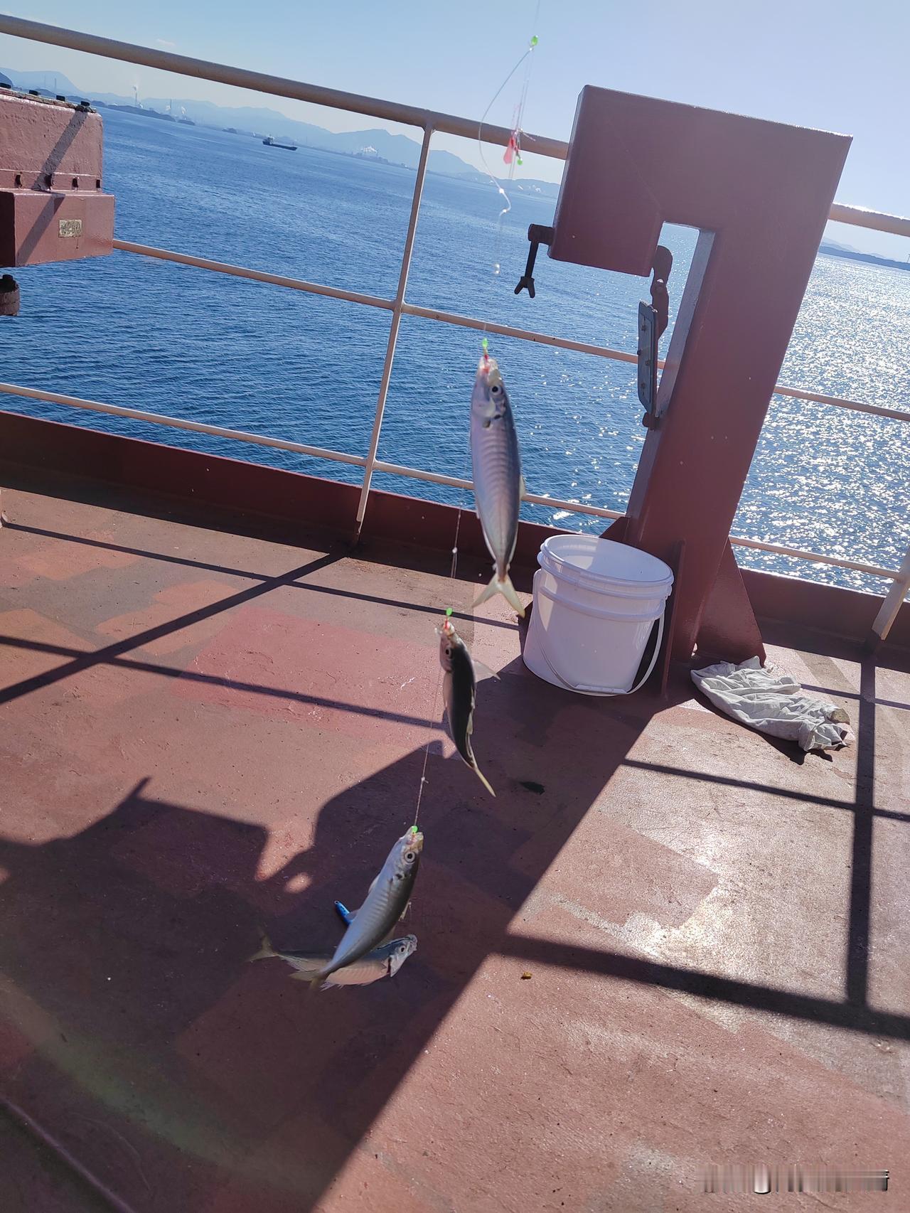 这就过完年了？就吃了一顿饭，喝了一罐可乐，年就过完了？是啊，今天都大年初一了，有