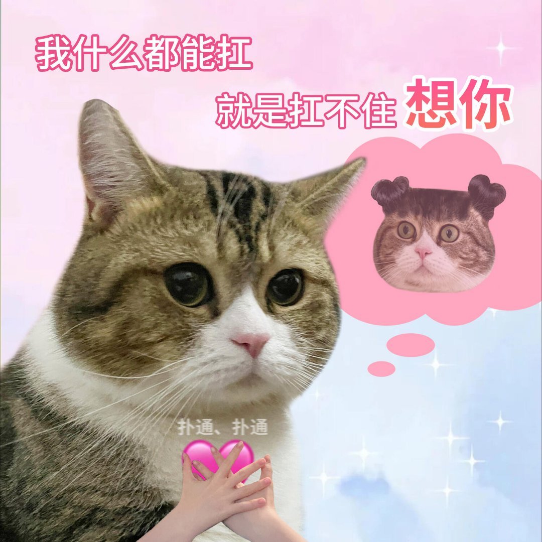扛不住[苦涩][苦涩][苦涩] ​​​