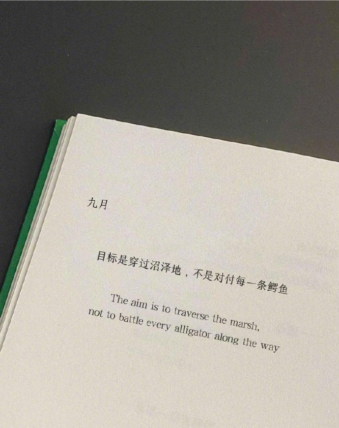 “ 目标是穿过沼泽地，不是对付每一条鳄鱼” 