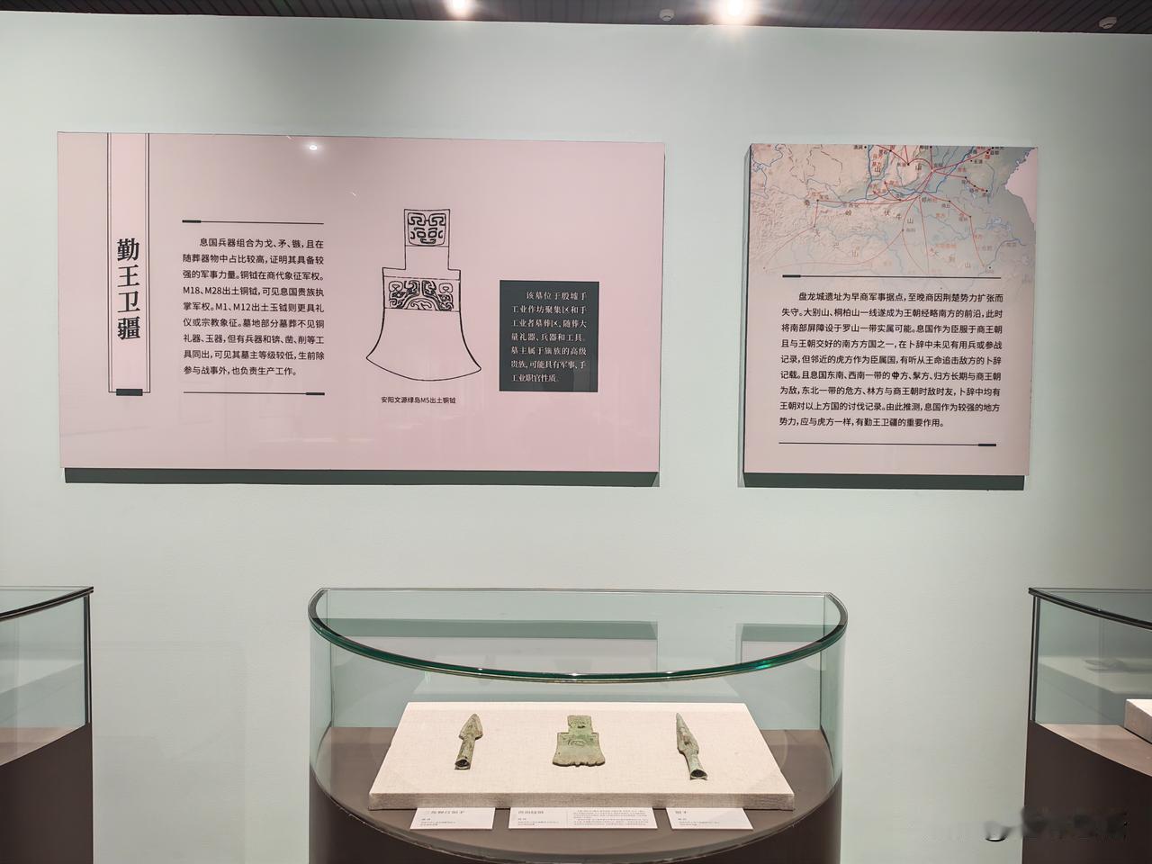 南土有息·信阳罗山天湖息国墓地特展（七）