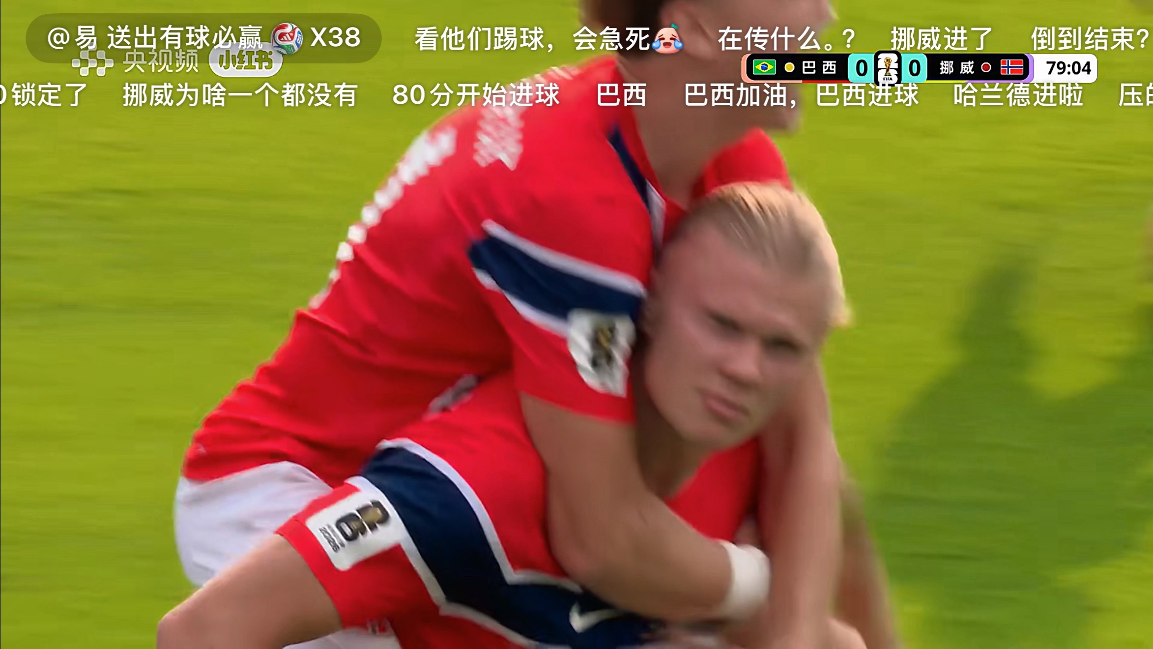 哈宝哈宝哈宝