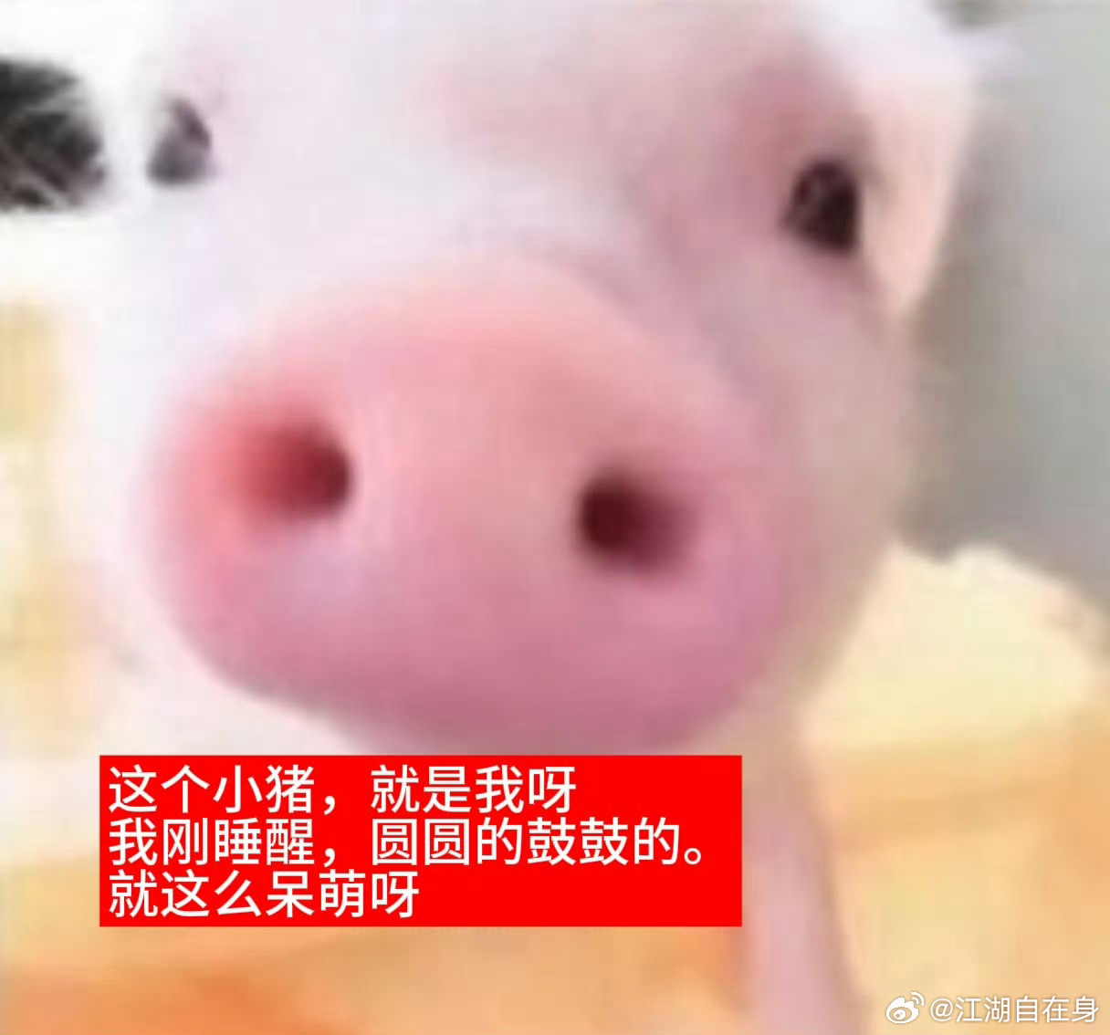 群友给我资助了0.03买衣服，好感动 