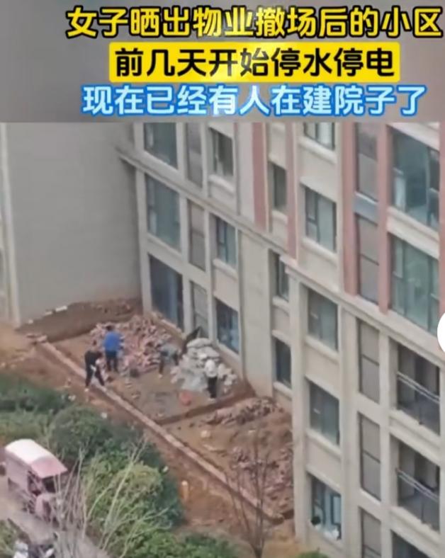 物业撤场才5天，小区里就有人圈地建院子，这速度简直比火箭发射还快，能让人下巴直接