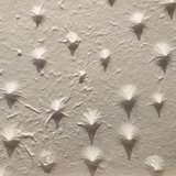 王羚热看科技