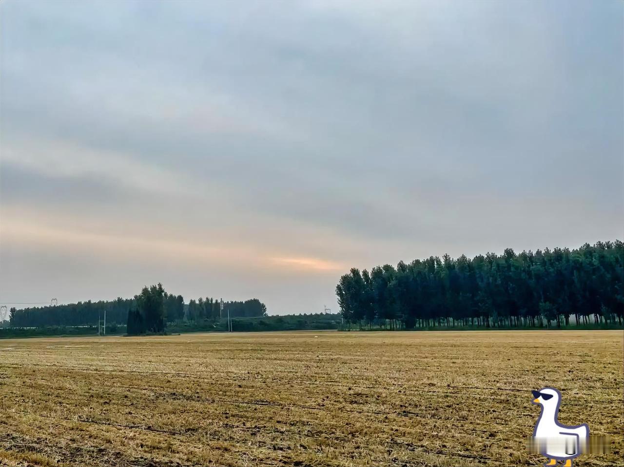 其实安全感从来不是别人给的。

把日子过踏实，手里有积蓄，心里有方向，身边有靠谱