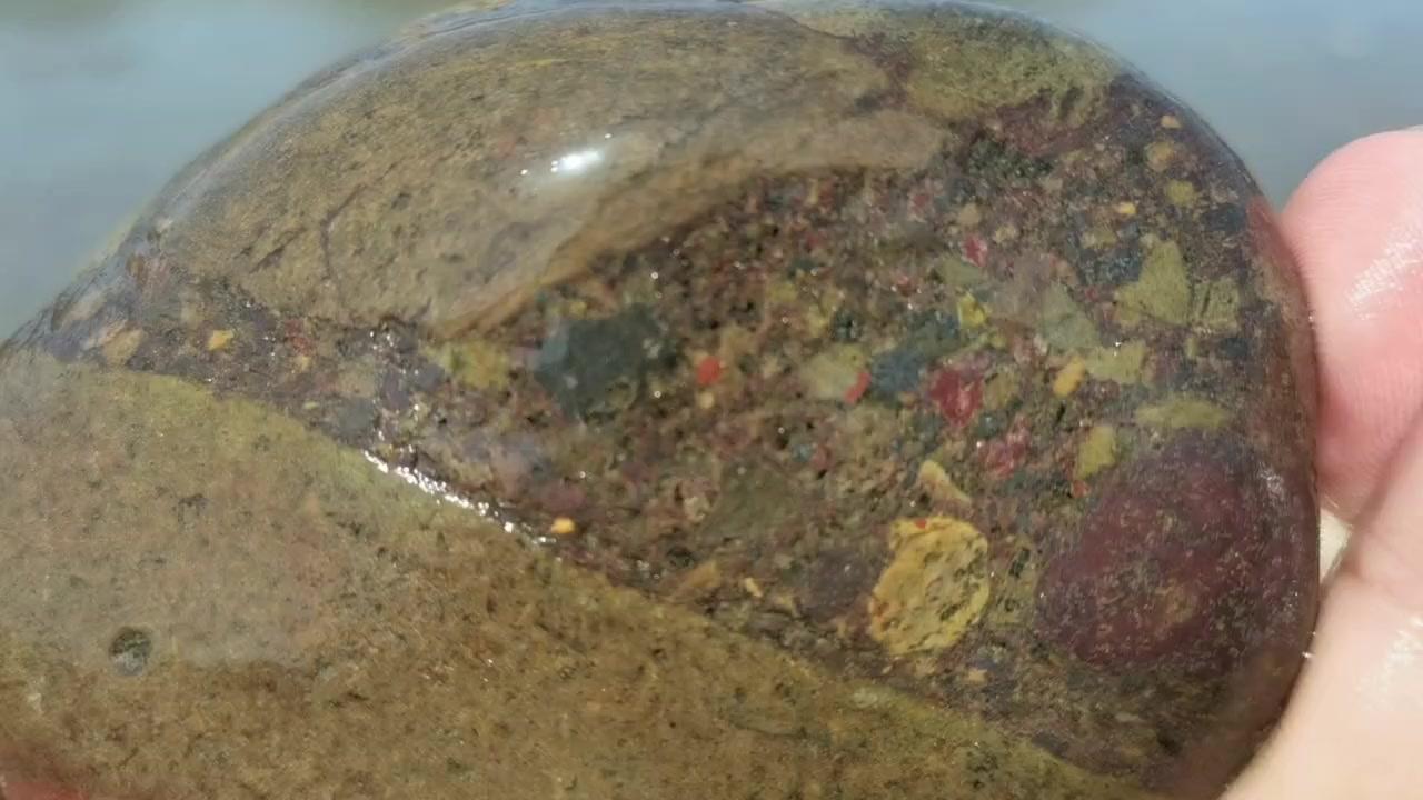 汉江捡石｜鸭头形强磁是陨石？🥚汉江宝贝真不少！今天又捡到个超像鸭头的石头，表面