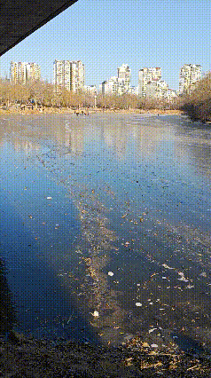 东北的天说变就变，上周大家还在钓鱼，这周就开始滑冰了！
特别是今天，那真是一个冷