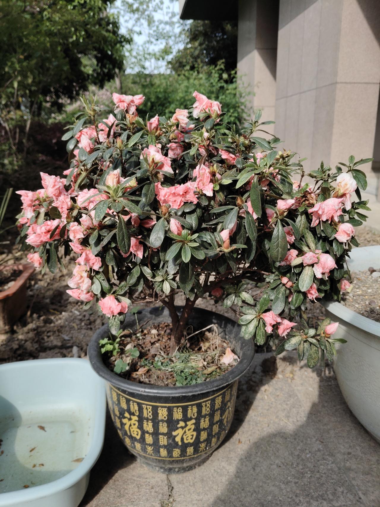【亚洲股市今天已经开始涨起来了[烟花][烟花][烟花]】今日早盘，日韩股市表现强