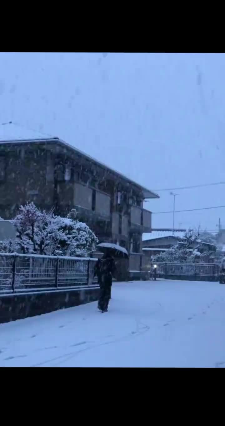一梦春画