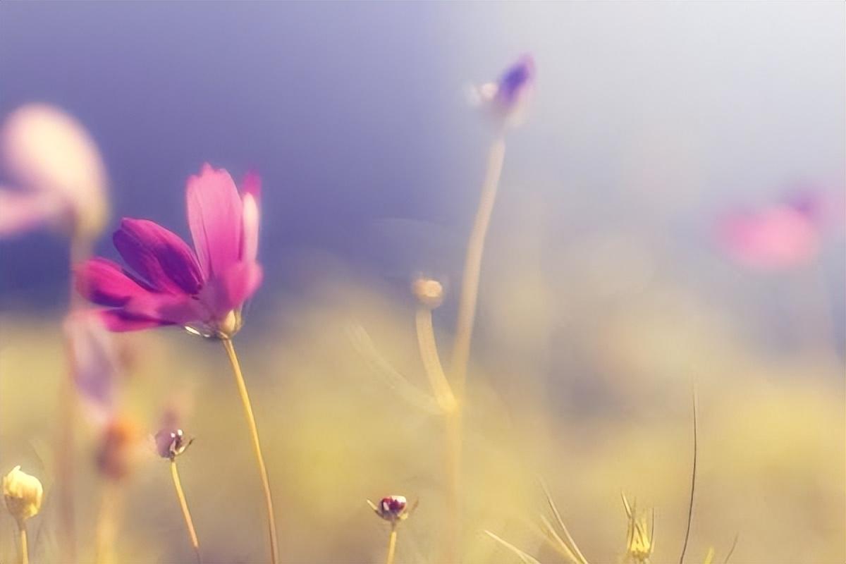 百因必有果
我算明白了
那天电梯里
我帮人按楼层
结果第二天
捡到五十块钱
你说