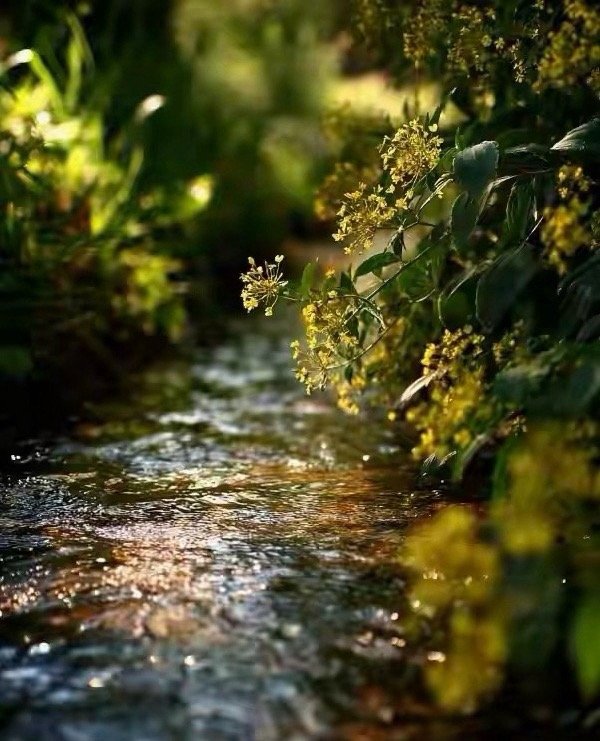 这周最有可能的是军工系了，其中中船，航母题材技术形态还可以。其它板块感觉都走的挺