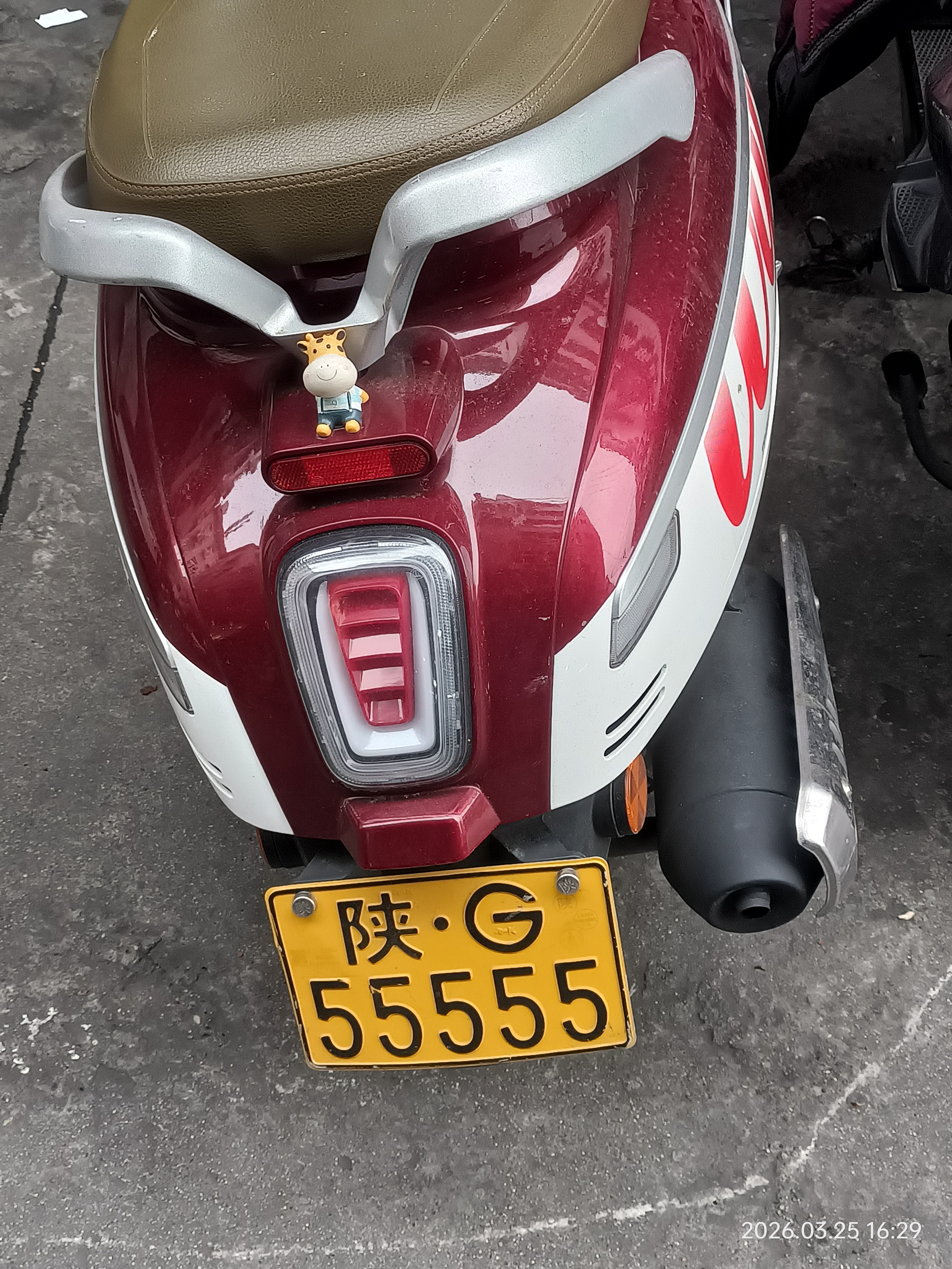 全球车牌 陕G55555 安康·秦巴铭座A座